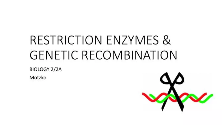 restriction enzymes genetic recombination