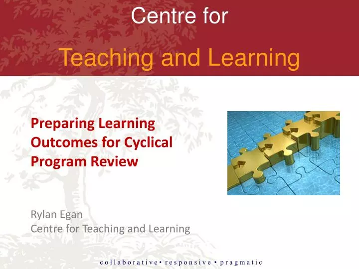rylan egan centre for teaching and learning