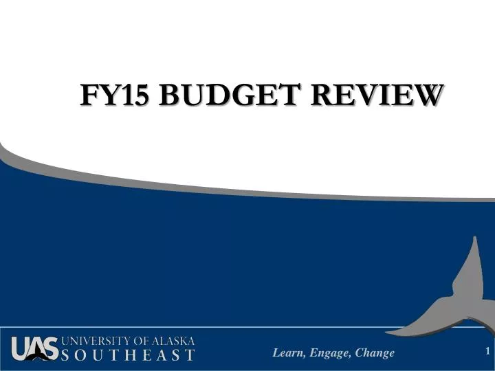 fy15 budget review