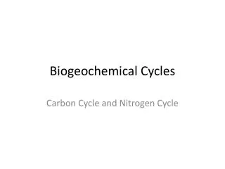 biogeochemical cycles