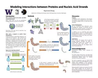 Modeling Interactions between Proteins and Nucleic Acid Strands