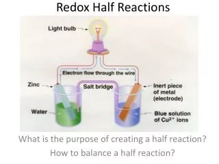 Redox Half Reactions