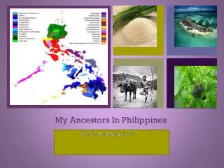 My Ancestors In Philippines