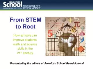 From STEM to Root