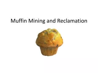 Muffin Mining and Reclamation