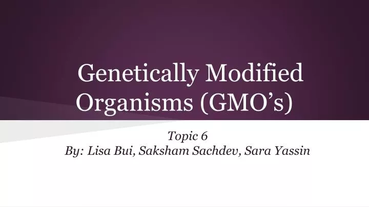 genetically modified organisms gmo s