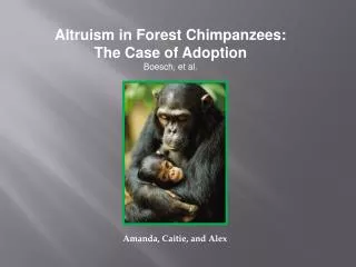 Altruism in Forest Chimpanzees: The Case of Adoption Boesch , et al.