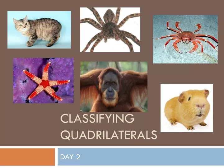 classifying quadrilaterals