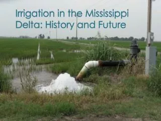 Irrigation in the Mississippi Delta: History and Future