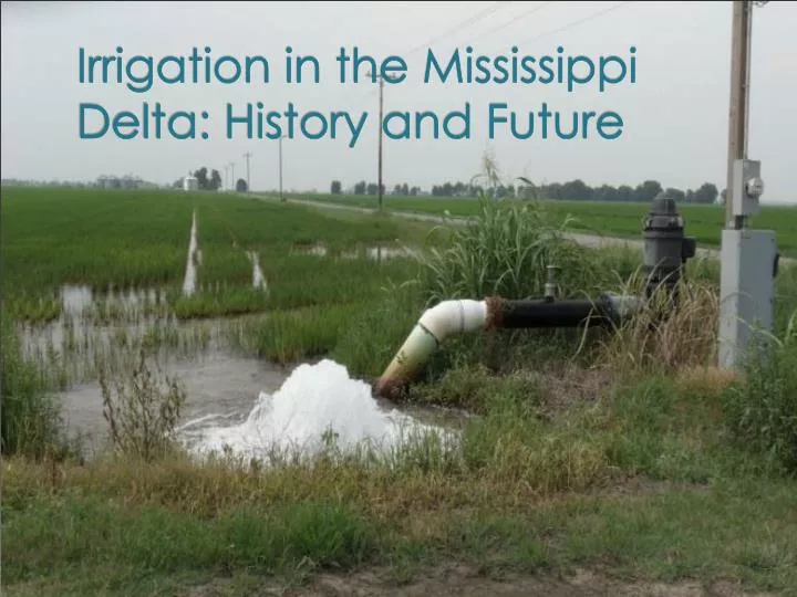 irrigation in the mississippi delta history and future