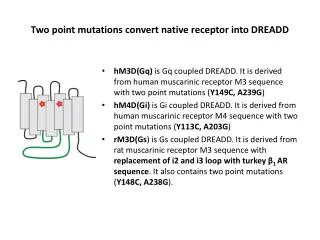 Two point mutations convert native receptor into DREADD