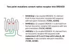 Two point mutations convert native receptor into DREADD - slide 1