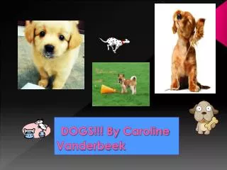 DOGS!!! By C aroline Vanderbeek