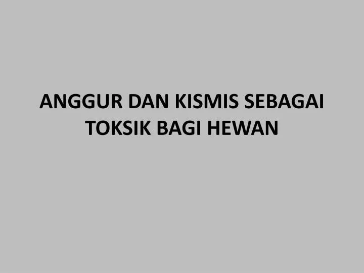 anggur dan kismis sebagai toksik bagi hewan