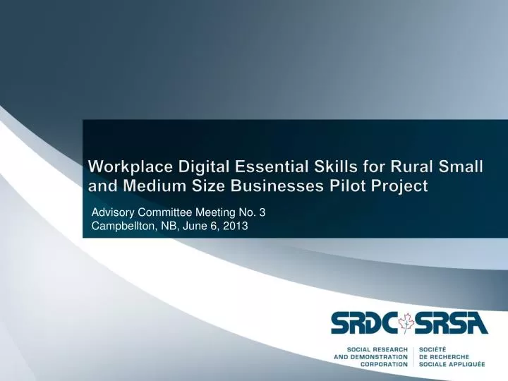 workplace digital essential skills for rural small and medium size businesses pilot project