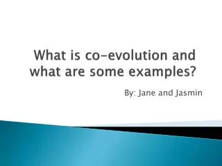 What is co-evolution and what are some examples?