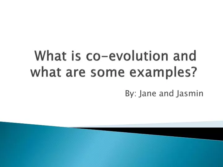 what is co evolution and what are some examples