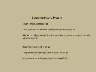 Somatosensory System Touch - mechanoreception