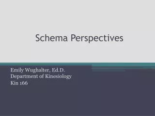 Schema Perspectives