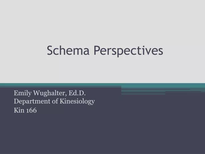 schema perspectives