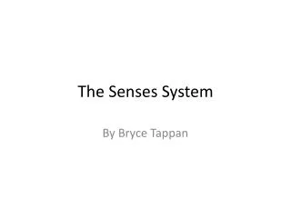 The Senses System