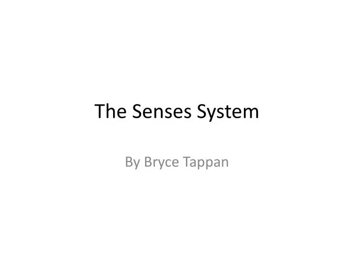 the senses system