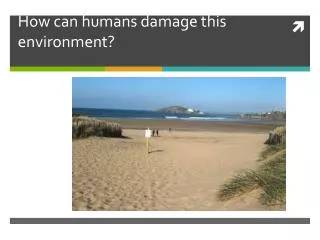 How can humans damage this environment?