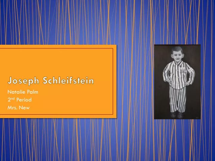 joseph schleifstein