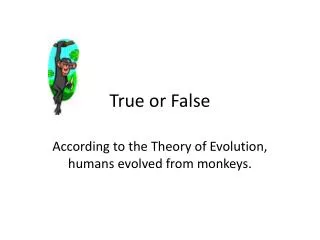 true or false
