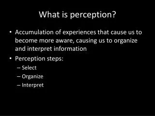 What is perception?