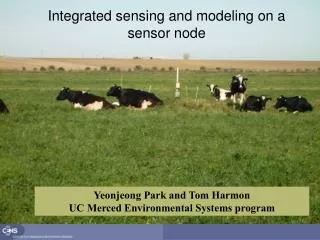 Integrated sensing and modeling on a sensor node