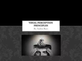 Visual perception principles