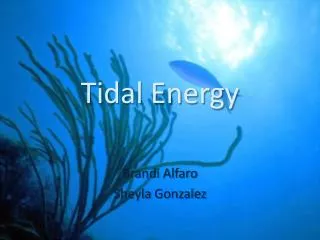 Tidal Energy