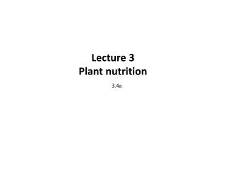 Lecture 3 Plant nutrition