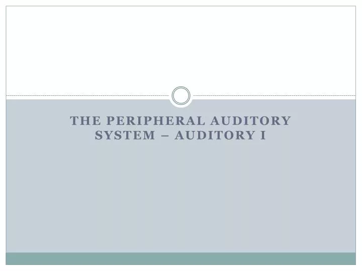 the peripheral auditory system auditory i
