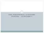 The Peripheral Auditory System – Auditory I - slide 1