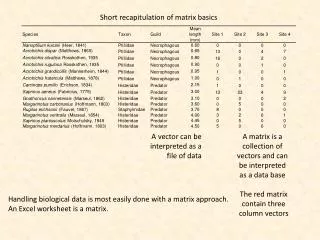 A vector can be interpreted as a file of data