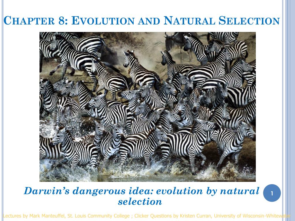 PPT - Chapter 8: Evolution and Natural Selection PowerPoint ...