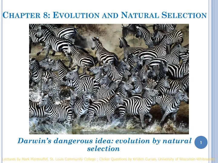 chapter 8 evolution and natural selection