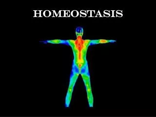 homeostasis