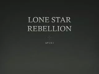 LONE STAR REBELLION