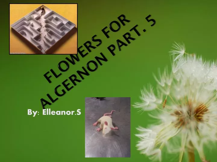 flowers for algernon part 5