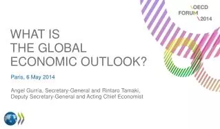 What is the global economic outlook ?