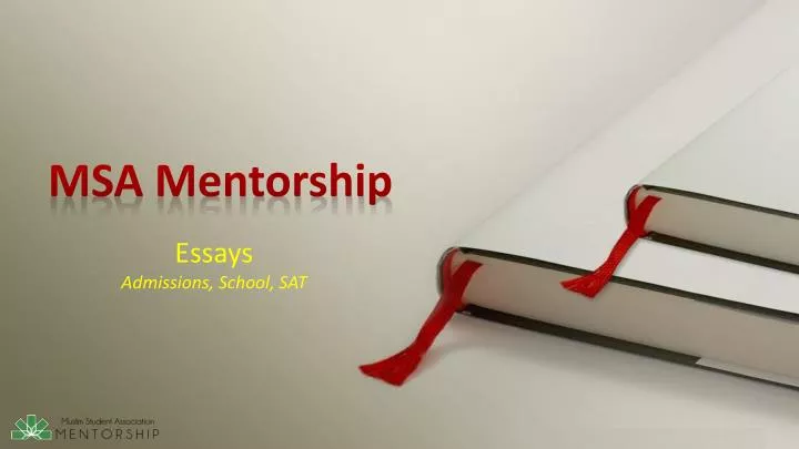 msa mentorship