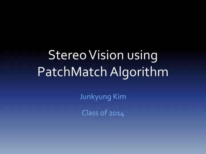 stereo vision using patchmatch algorithm