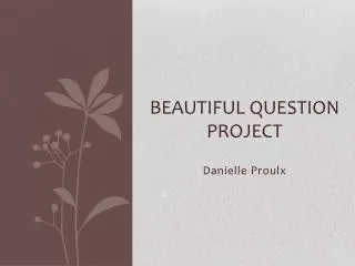 Beautiful question project