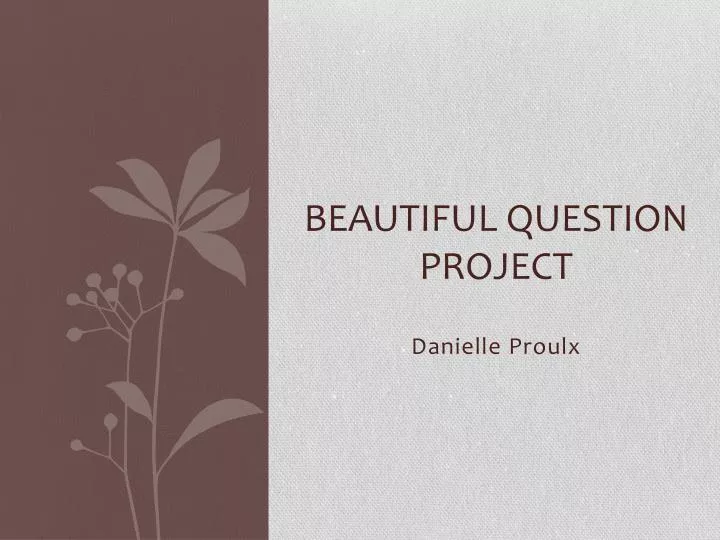 beautiful question project