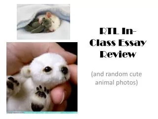 RTL In-Class Essay Review