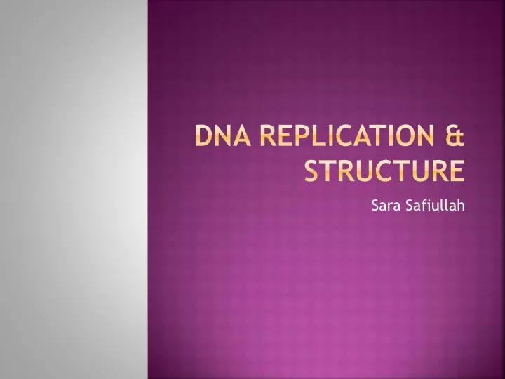 dna replication structure