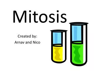 Mitosis